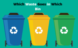 Which waste goes in Which bin